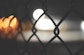chainlink-fence