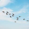 Website migration frequently asked questions