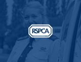 RSPCA Digital Transformation