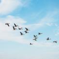 Websitye migration