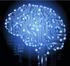 2013-04-data-brain-630x600