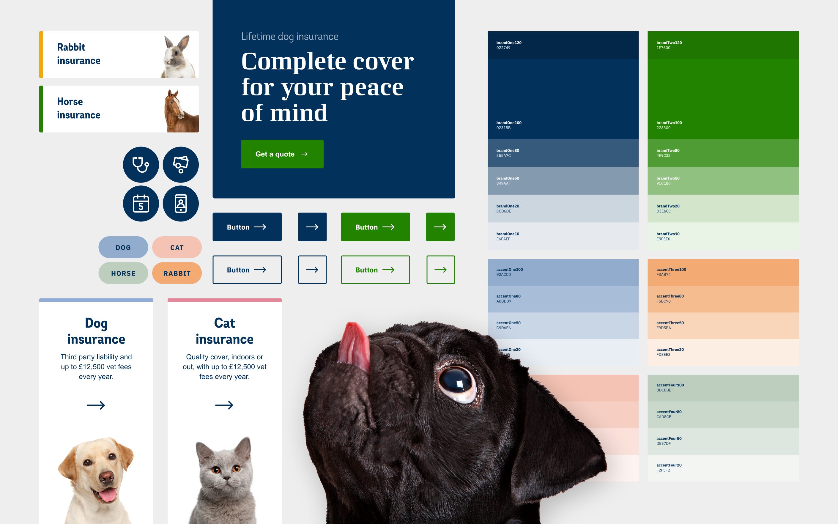 Pet insurance website interface showing dog and cat coverage options with blue and green color scheme and navigation elements