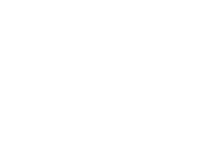 Helly Hansen logo in white