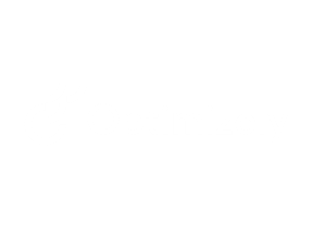Optimizely logo in white text