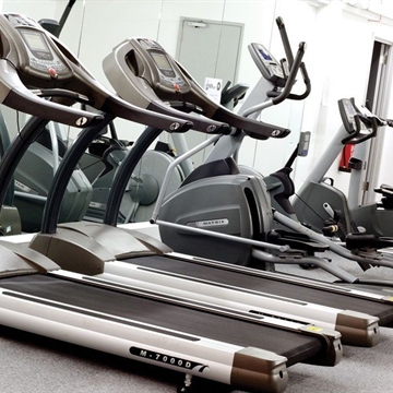 Photos of treadmills and a Cross Trainer in the Fresh Egg Gym