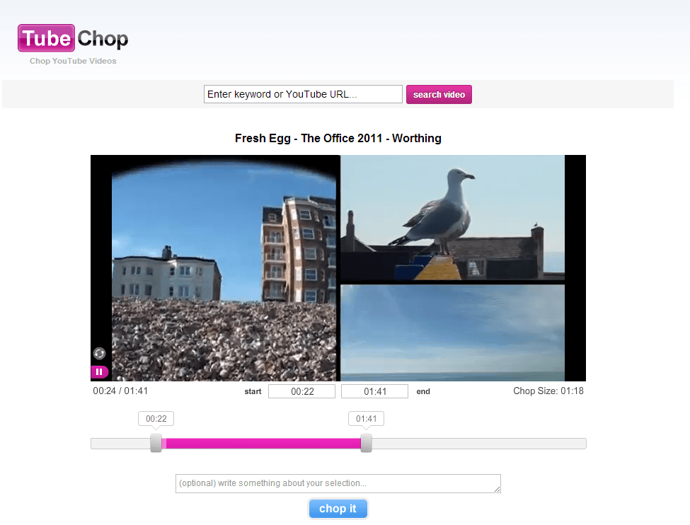 The TubeChop interface