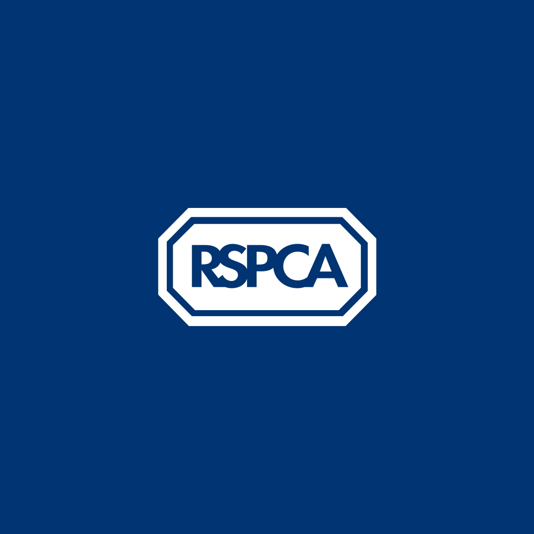 Digital transformation strategy for the RSPCA Case Study Fresh Egg