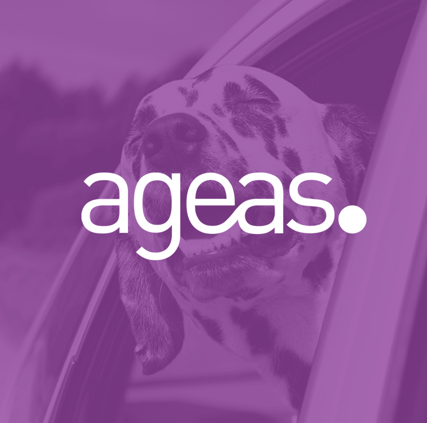 Ageas car insurance
