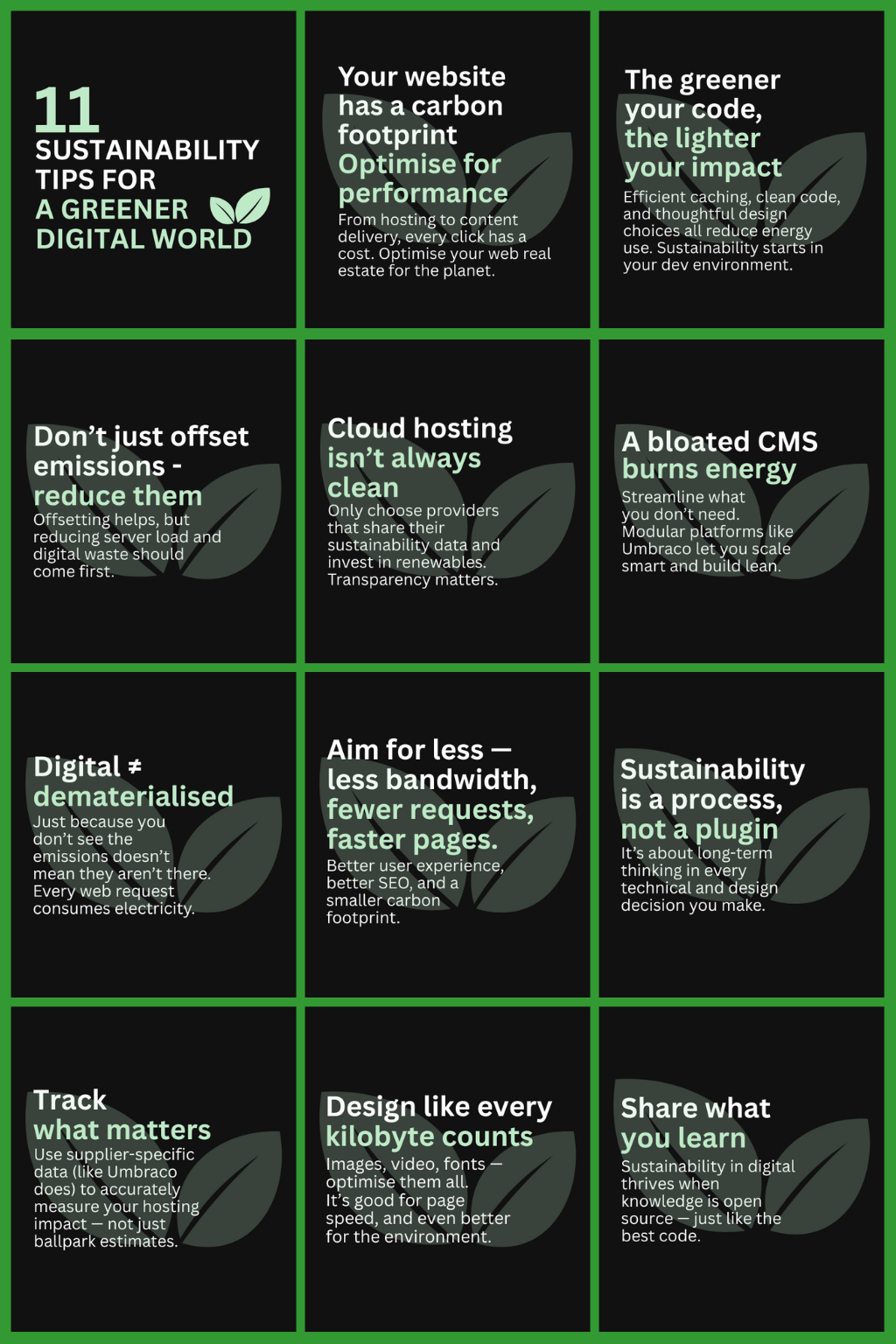 Sustainability Checks for a Green Digital World