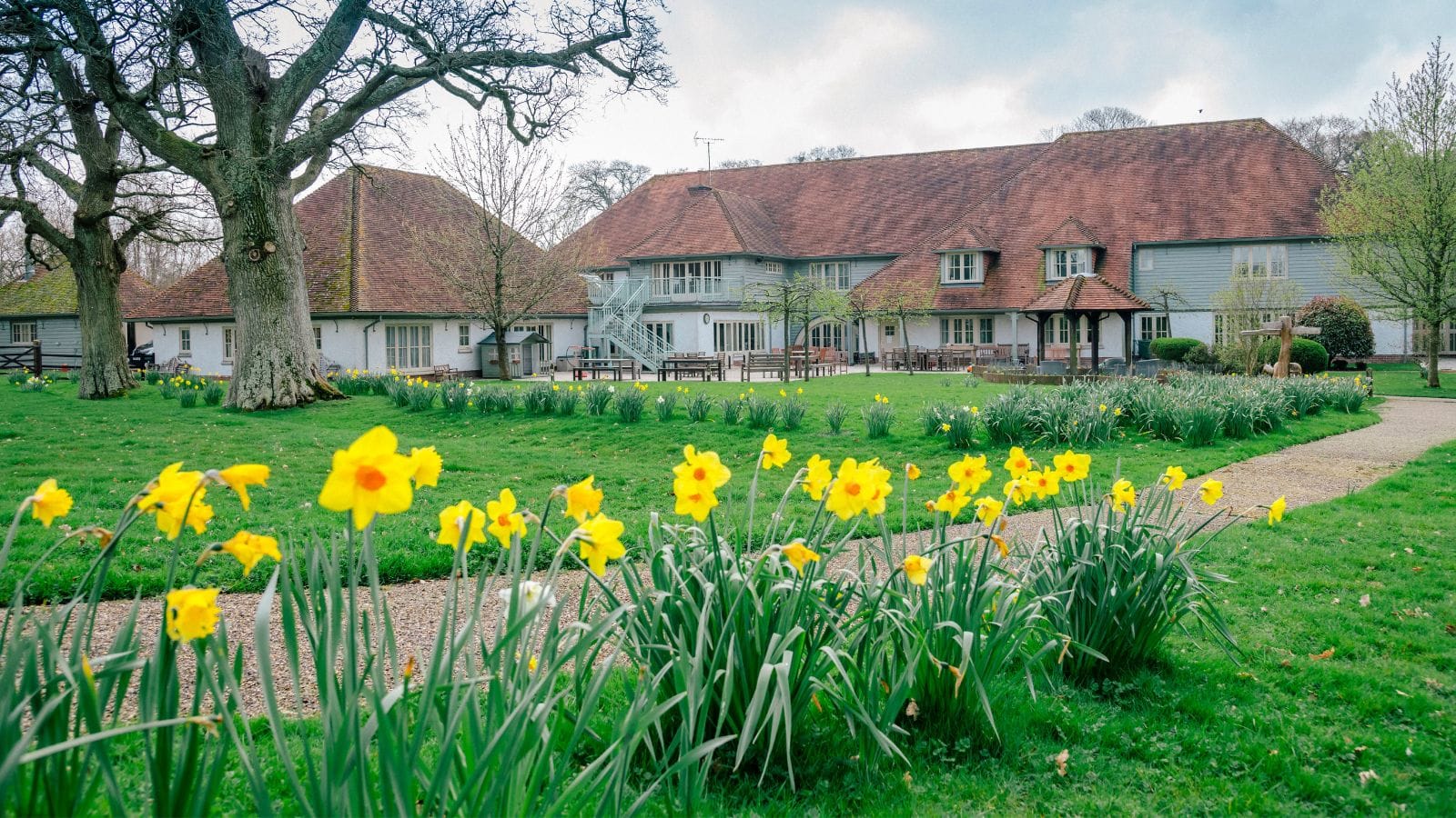 Chestnut Tree House in Spring